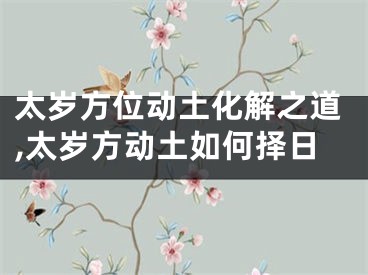 太岁方位动土化解之道,太岁方动土如何择日