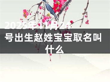 2025年11月24号出生赵姓宝宝取名叫什么