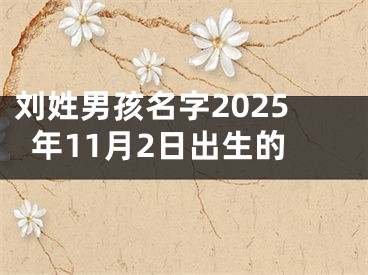 刘姓男孩名字2025年11月2日出生的