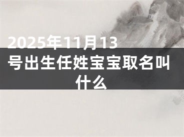 2025年11月13号出生任姓宝宝取名叫什么