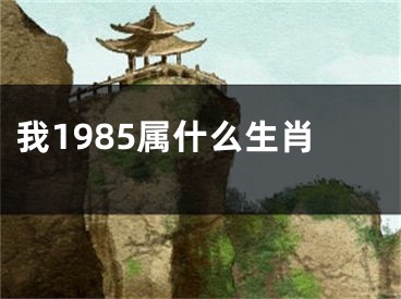 我1985属什么生肖