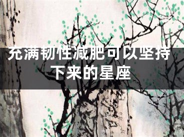 充满韧性减肥可以坚持下来的星座