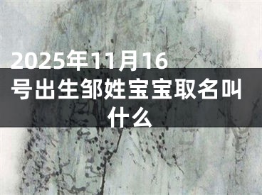 2025年11月16号出生邹姓宝宝取名叫什么
