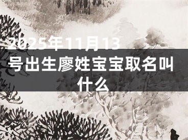 2025年11月13号出生廖姓宝宝取名叫什么