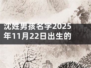 沈姓男孩名字2025年11月22日出生的