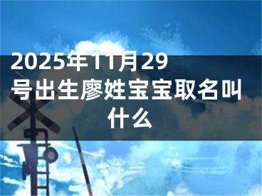 2025年11月29号出生廖姓宝宝取名叫什么