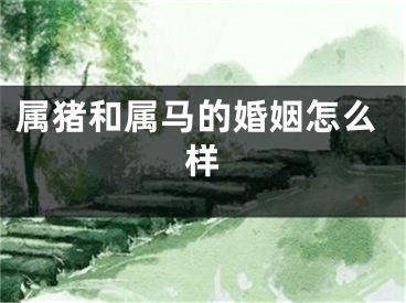 属猪和属马的婚姻怎么样