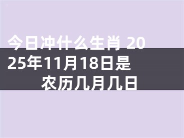 今日冲什么生肖 2025年11月18日是农历几月几日