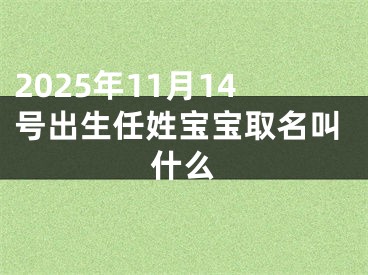 2025年11月14号出生任姓宝宝取名叫什么