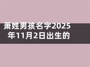 萧姓男孩名字2025年11月2日出生的