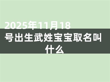 2025年11月18号出生武姓宝宝取名叫什么