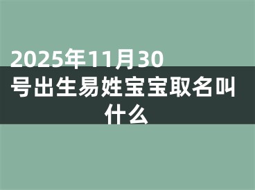 2025年11月30号出生易姓宝宝取名叫什么