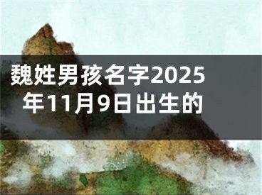魏姓男孩名字2025年11月9日出生的