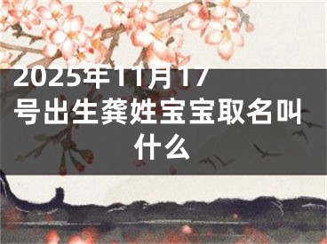 2025年11月17号出生龚姓宝宝取名叫什么