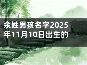 余姓男孩名字2025年11月10日出生的