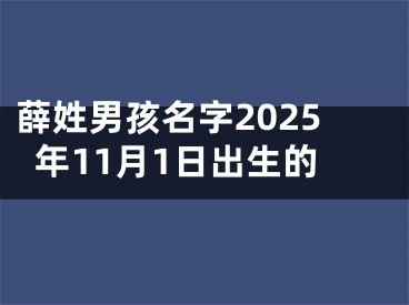 薛姓男孩名字2025年11月1日出生的