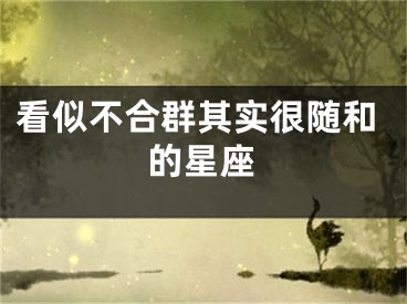 看似不合群其实很随和的星座