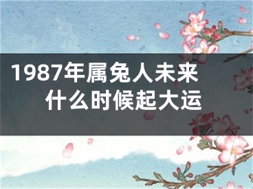 1987年属兔人未来什么时候起大运