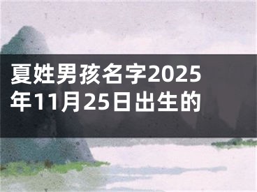 夏姓男孩名字2025年11月25日出生的