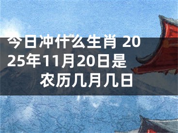 今日冲什么生肖 2025年11月20日是农历几月几日