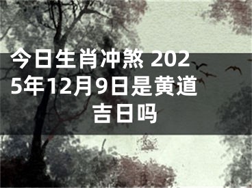 今日生肖冲煞 2025年12月9日是黄道吉日吗