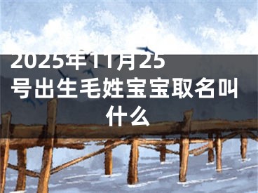 2025年11月25号出生毛姓宝宝取名叫什么