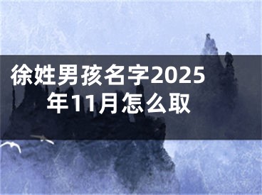 徐姓男孩名字2025年11月怎么取