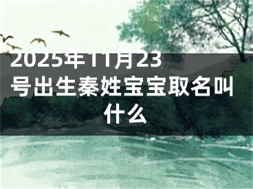 2025年11月23号出生秦姓宝宝取名叫什么