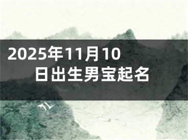 2025年11月10日出生男宝起名