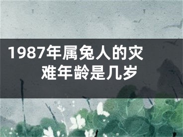 1987年属兔人的灾难年龄是几岁