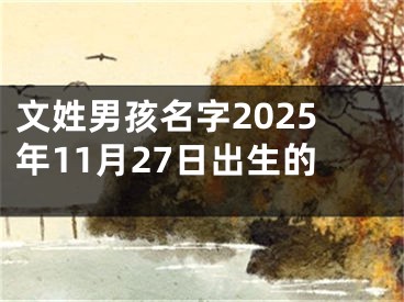 文姓男孩名字2025年11月27日出生的