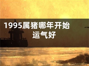1995属猪哪年开始运气好