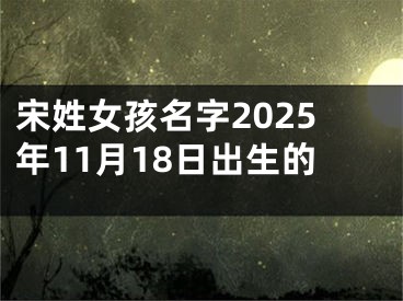 宋姓女孩名字2025年11月18日出生的