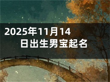 2025年11月14日出生男宝起名