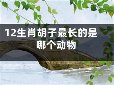 12生肖胡子最长的是哪个动物