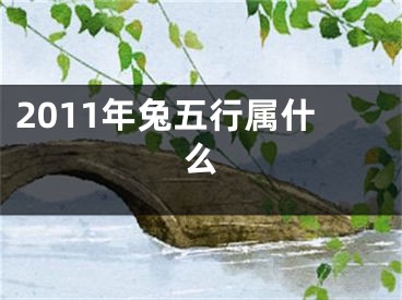 2011年兔五行属什么