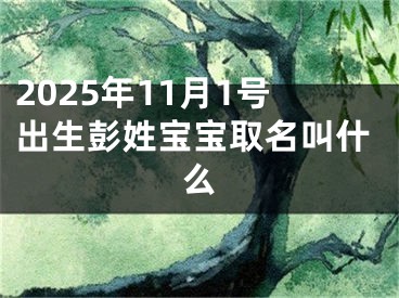2025年11月1号出生彭姓宝宝取名叫什么