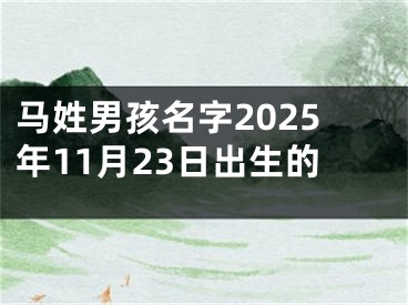 马姓男孩名字2025年11月23日出生的