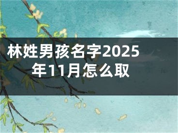 林姓男孩名字2025年11月怎么取