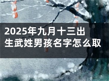 2025年九月十三出生武姓男孩名字怎么取