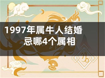1997年属牛人结婚忌哪4个属相