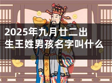 2025年九月廿二出生王姓男孩名字叫什么