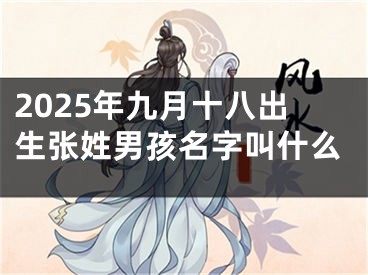2025年九月十八出生张姓男孩名字叫什么