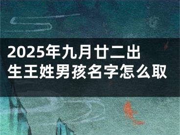2025年九月廿二出生王姓男孩名字怎么取