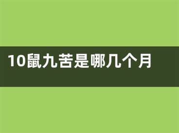 10鼠九苦是哪几个月