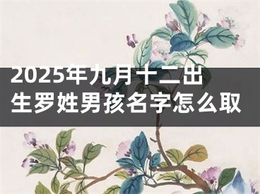 2025年九月十二出生罗姓男孩名字怎么取