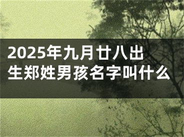 2025年九月廿八出生郑姓男孩名字叫什么