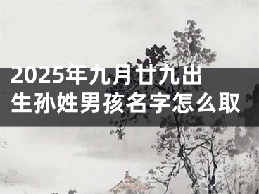 2025年九月廿九出生孙姓男孩名字怎么取