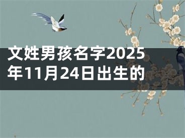 文姓男孩名字2025年11月24日出生的
