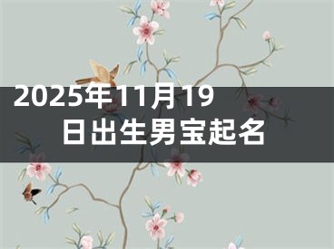 2025年11月19日出生男宝起名